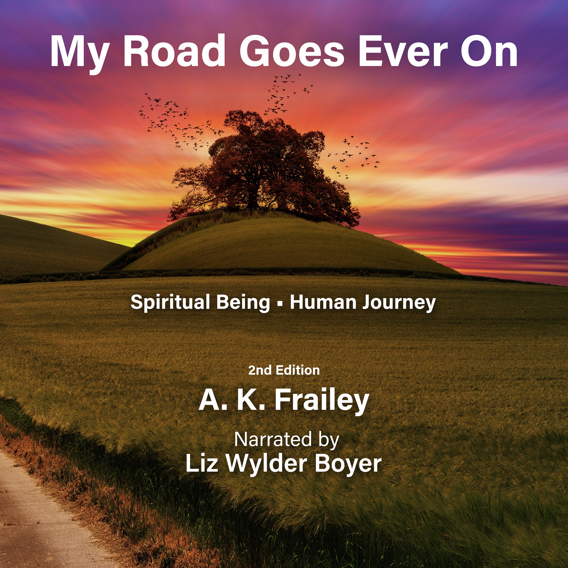Spiritual Being Human Journey